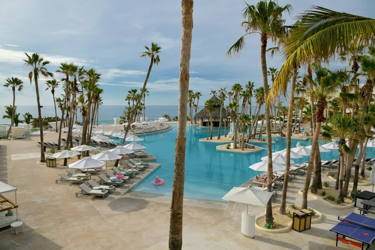 A beach resort pool lined with palm trees