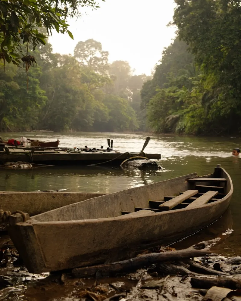 Life on the river