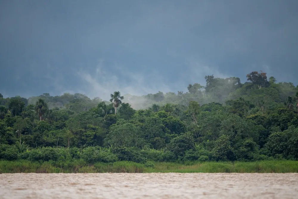 Pacaya-Samiria Reserve