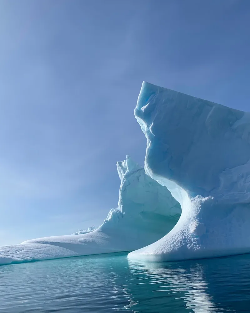 Among the icebergs