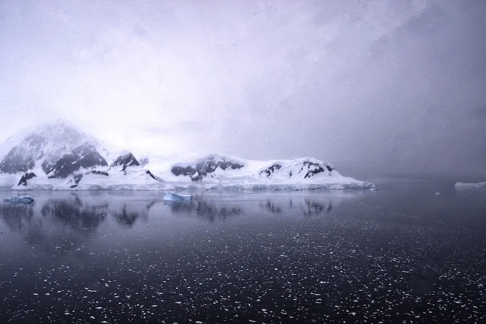 The Antarctic Peninsula