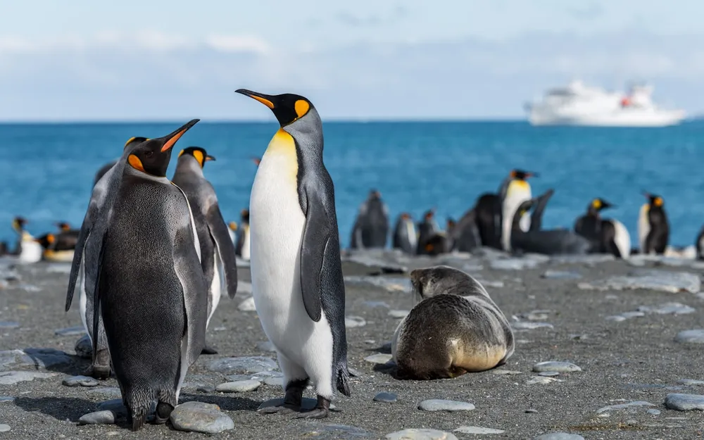 Wildlife on its own terms
