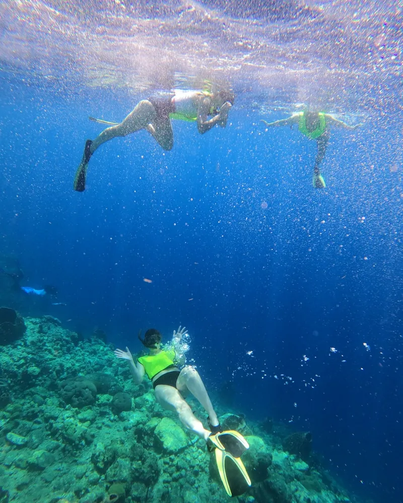 Beneath the waves