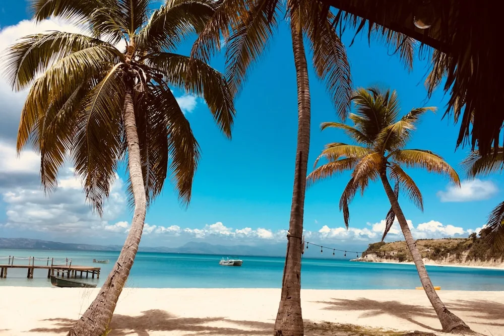 St. Maarten