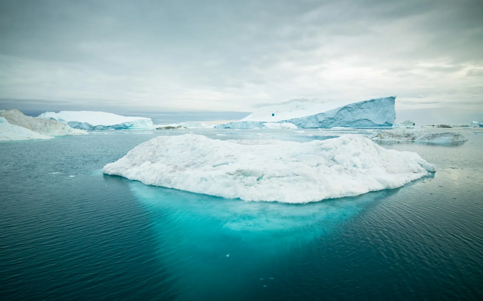 Huge icebergs drifting in a Greenland fjord beneath a low sun