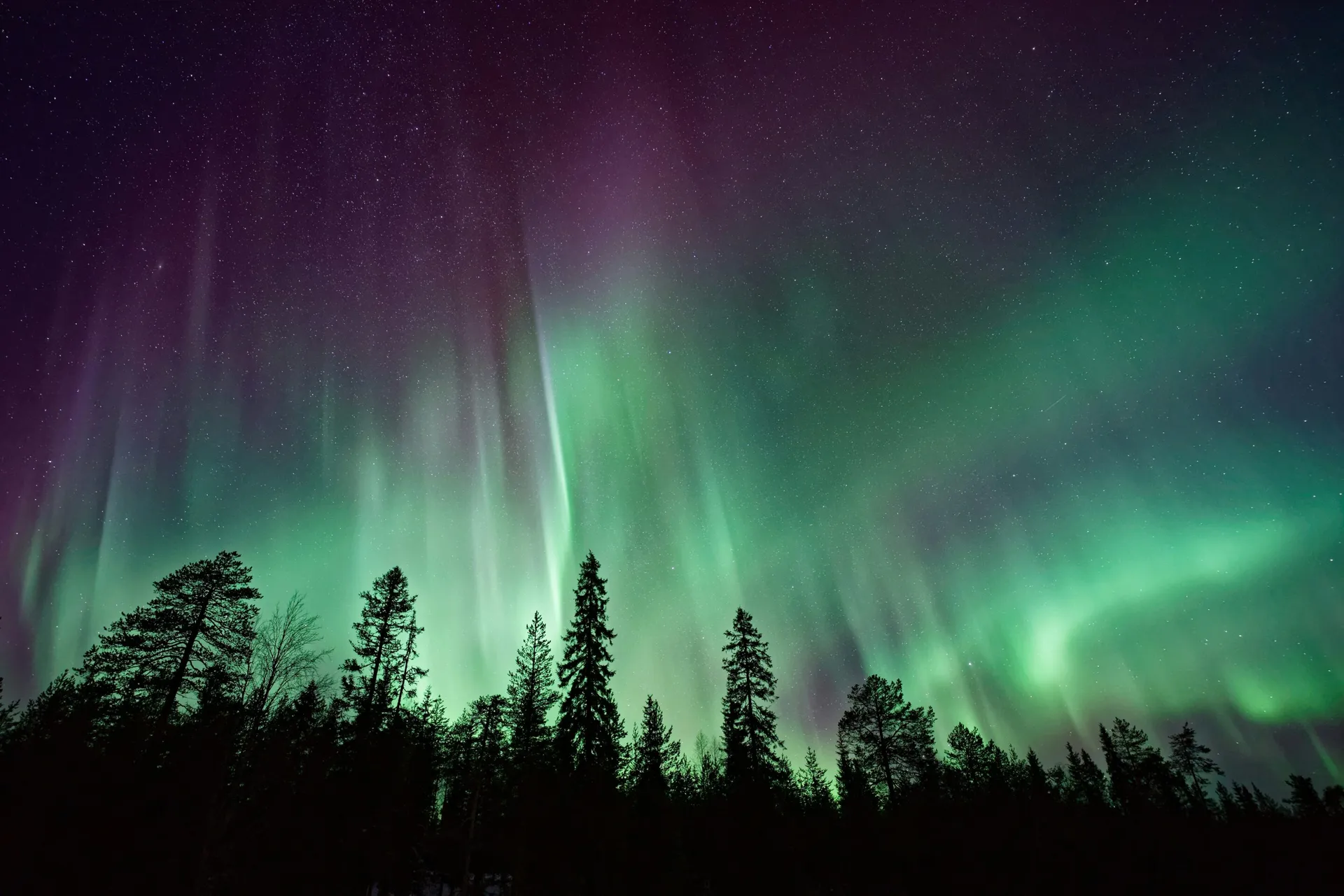 The Northern Lights over a calm Northern European fjord
