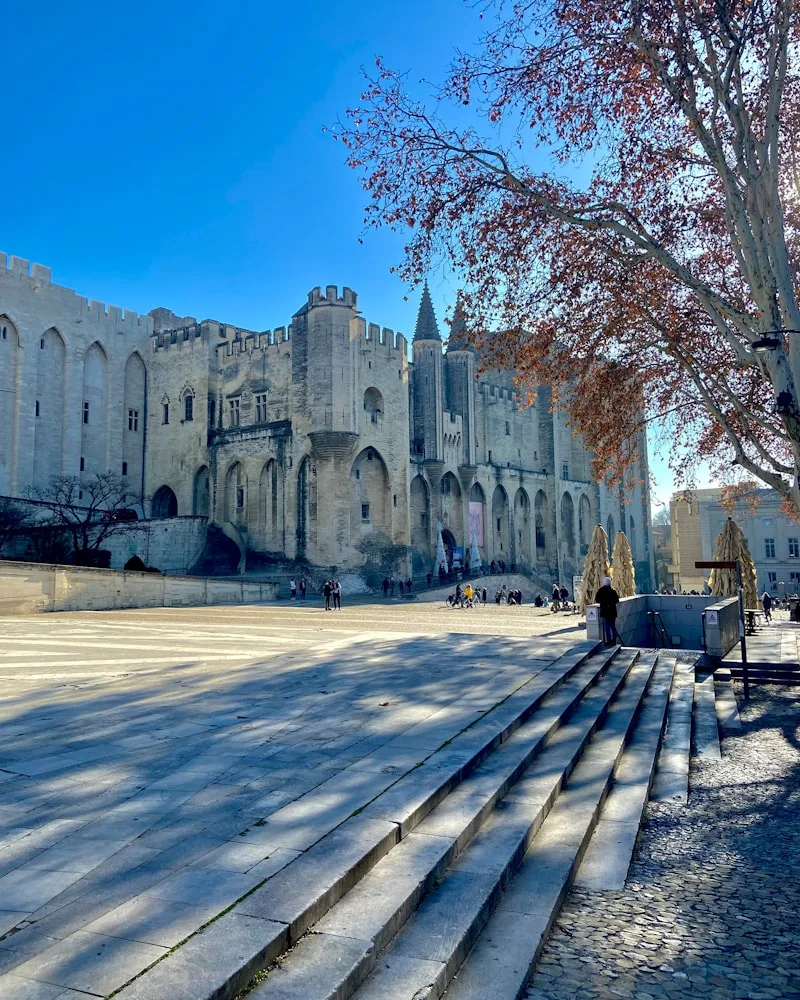 The Palais des Papes