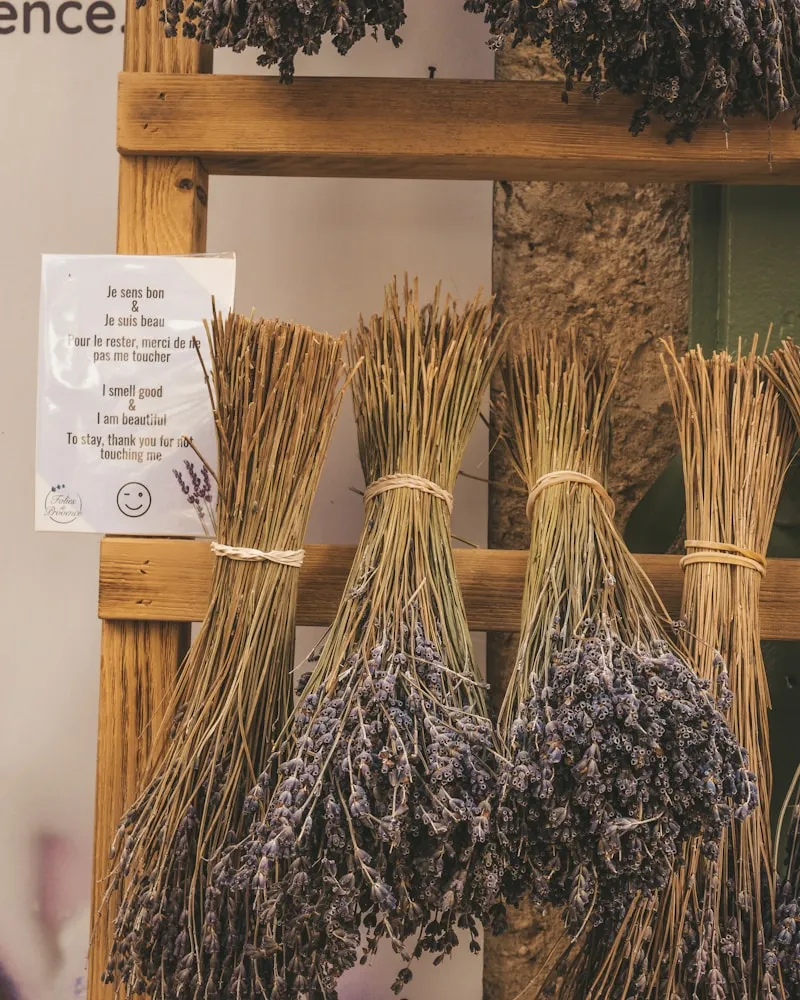 Provençal markets
