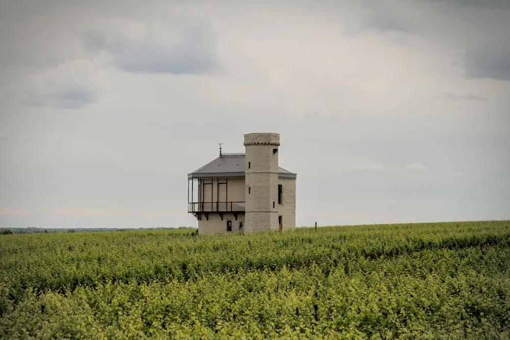 Tournon & Tain-l'Hermitage