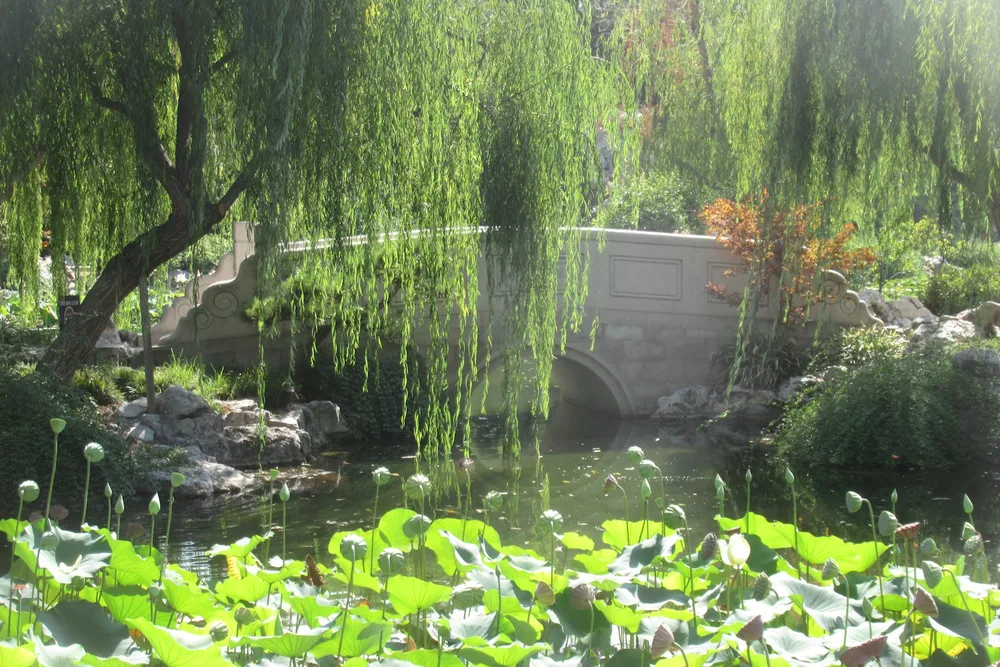 Vernon & Giverny