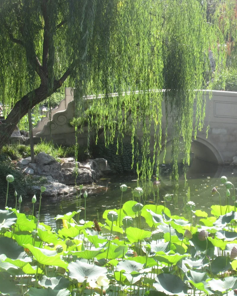 Monet's Giverny