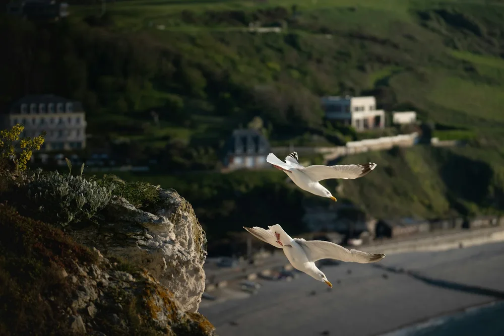 The Normandy Beaches