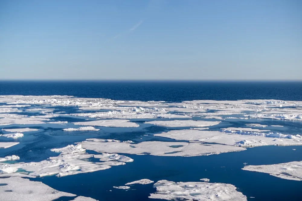 The pack ice, 80° North