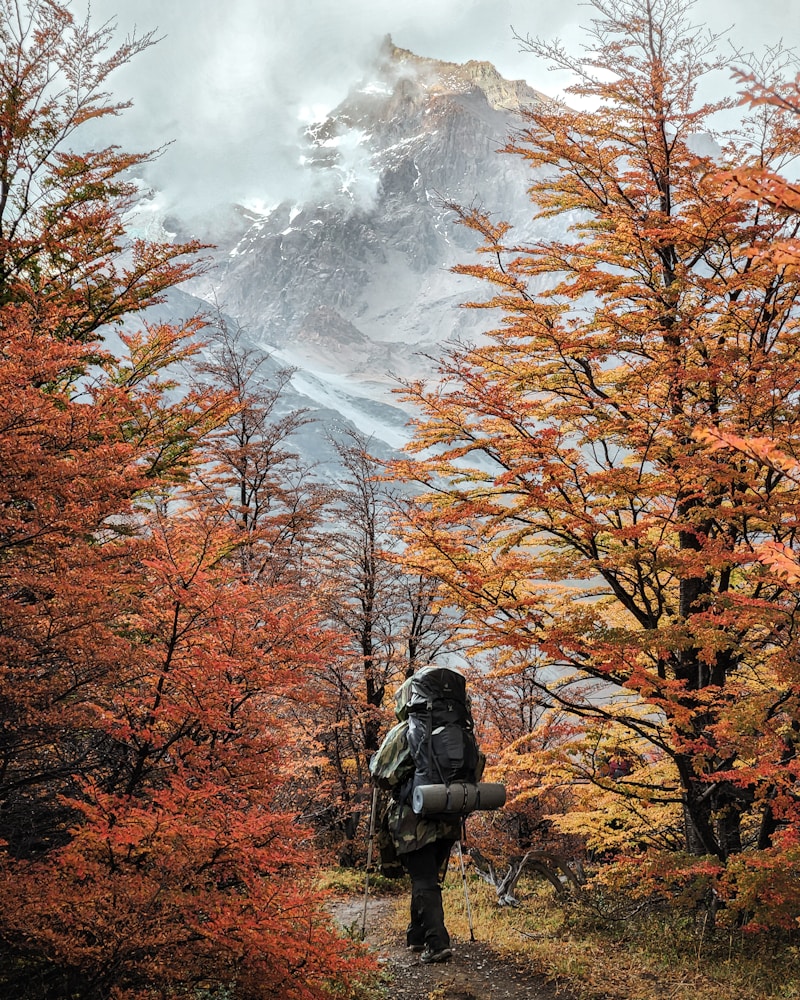 Hikers on the trail, Argentina
