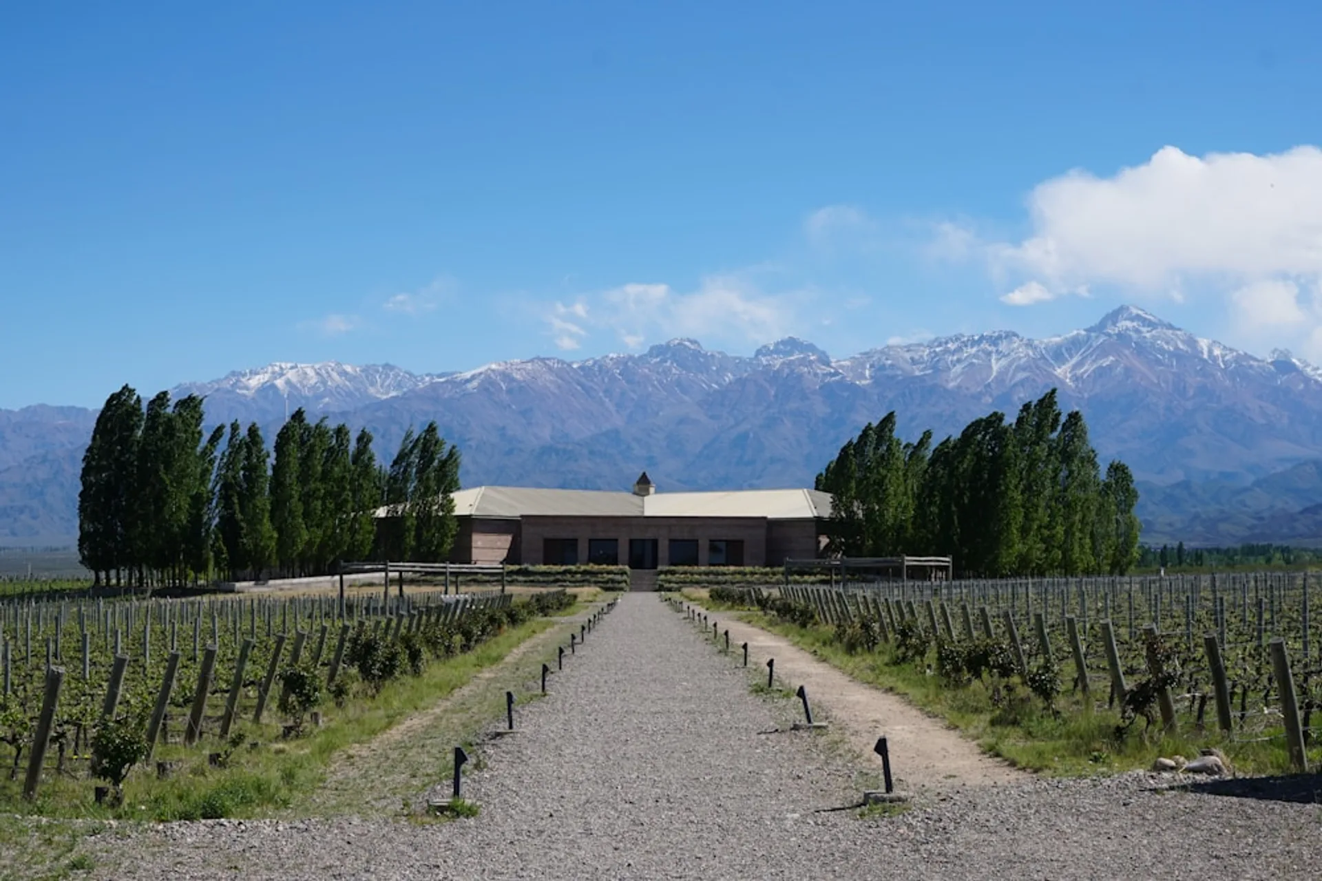 Mendoza Malbec Tasting
