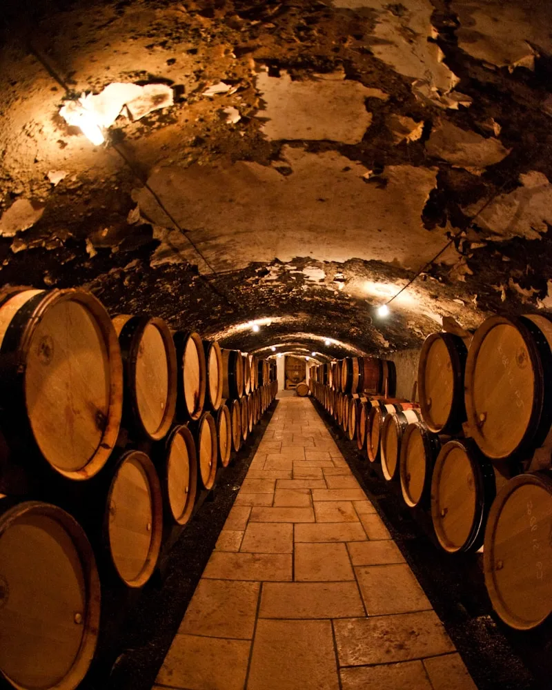The bodega cellar, Argentina