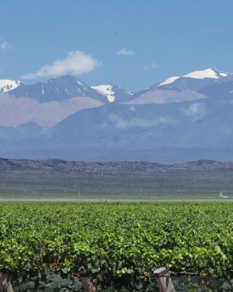 Mendoza Wine Country