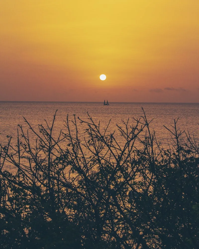 A sunset sail, Aruba