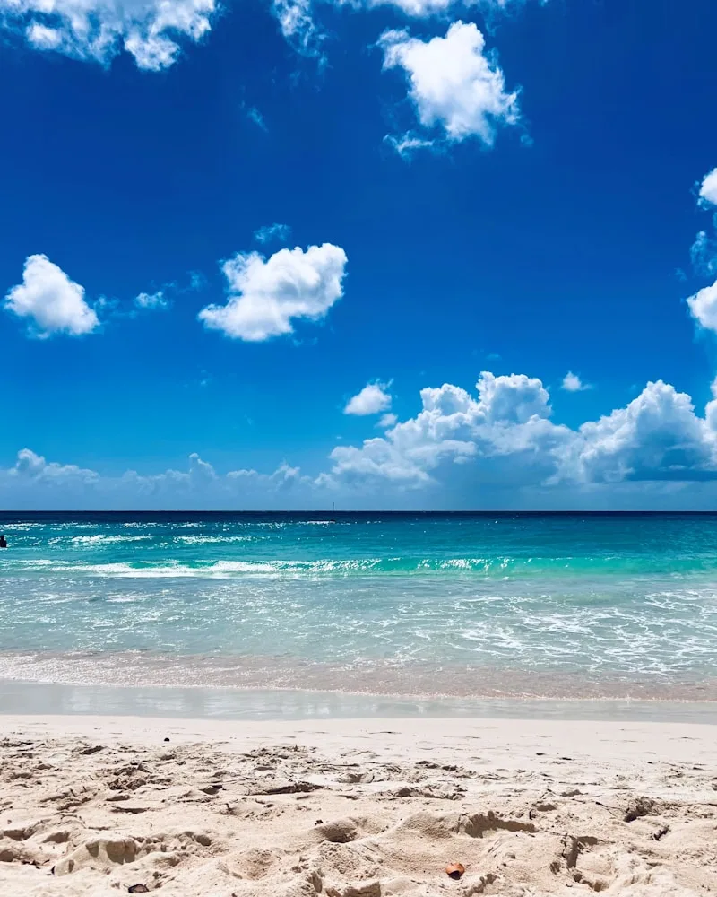 White sand & turquoise water, Aruba
