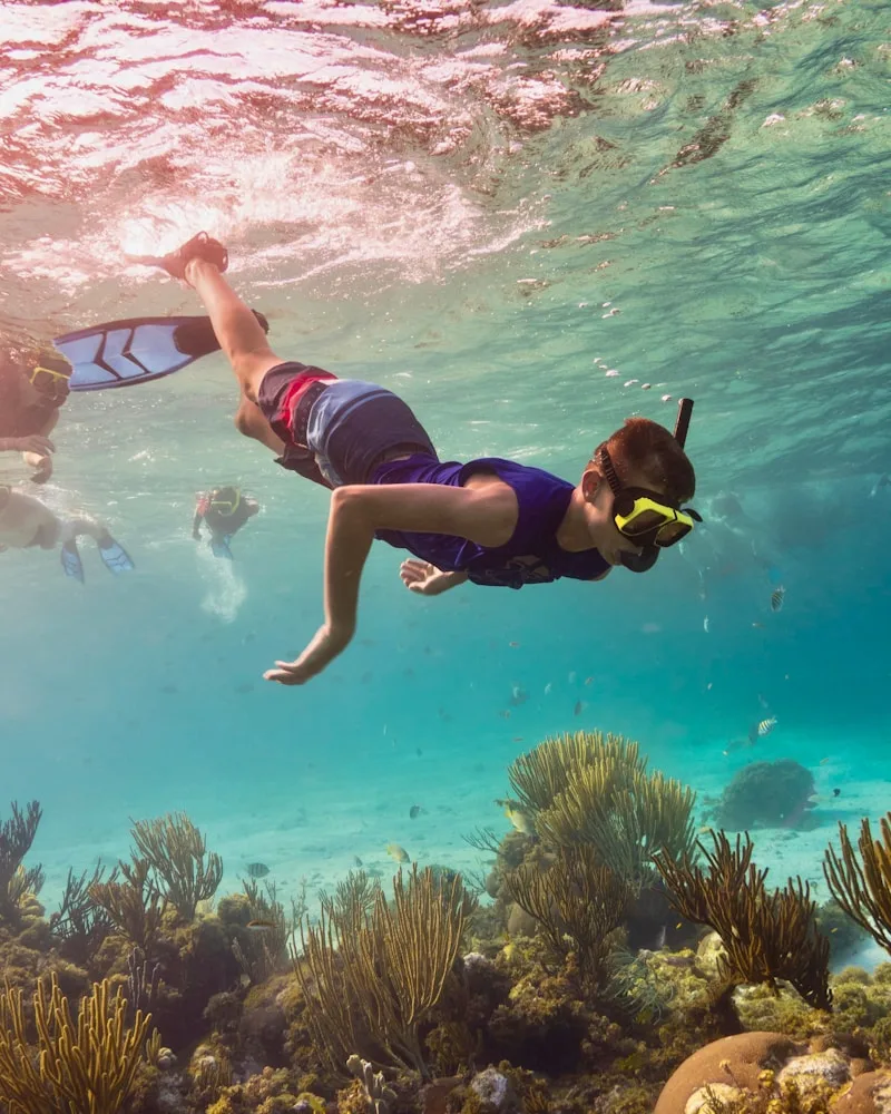 A snorkeler over the reef, Australia