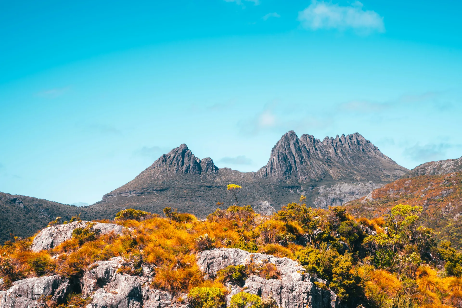 The Wilds of Tasmania, Australia