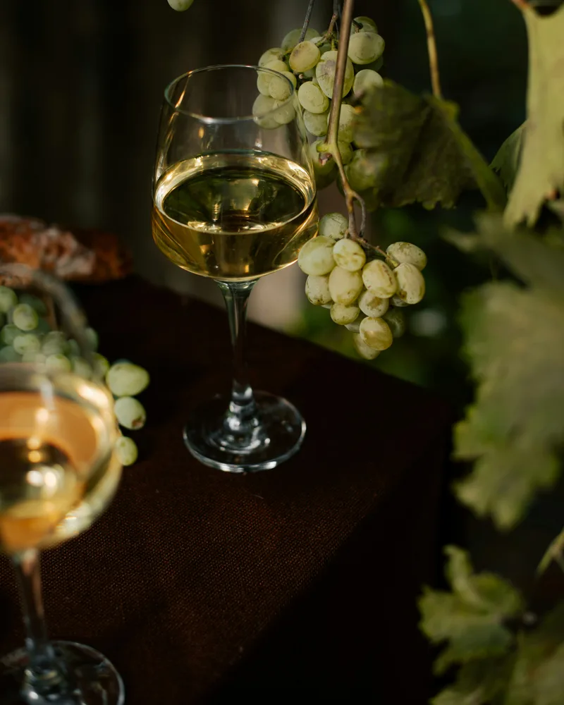 Styrian wine & pumpkin seed oil, Austria