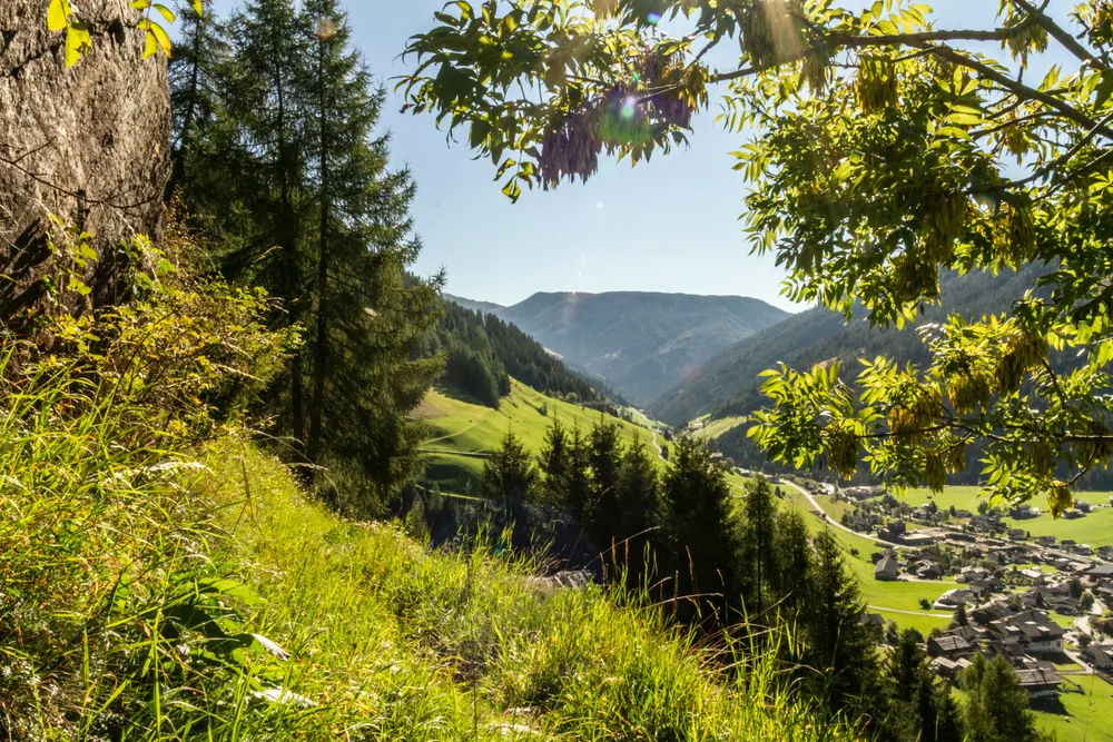 Summer in the mountains
