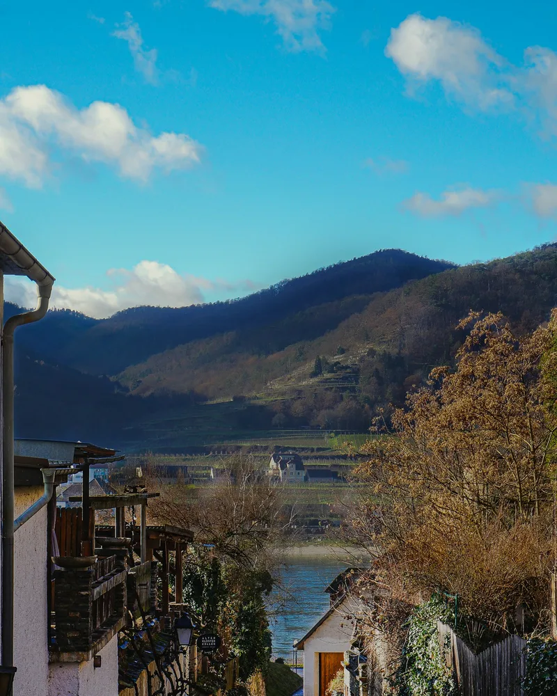 The Wachau & the Danube