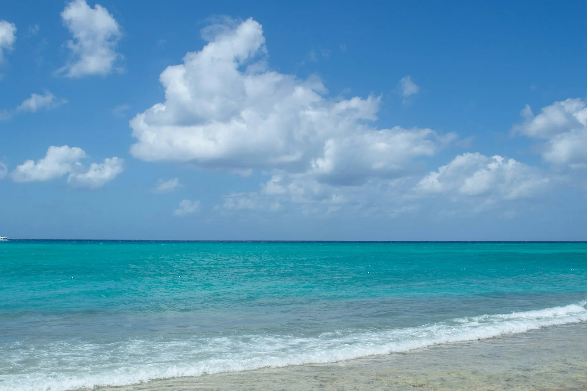 The Reefs and Caves of Grand Bahama
