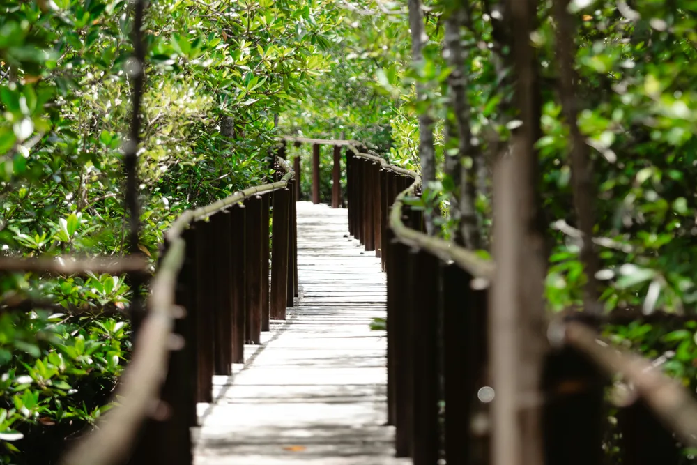 Lucayan National Park