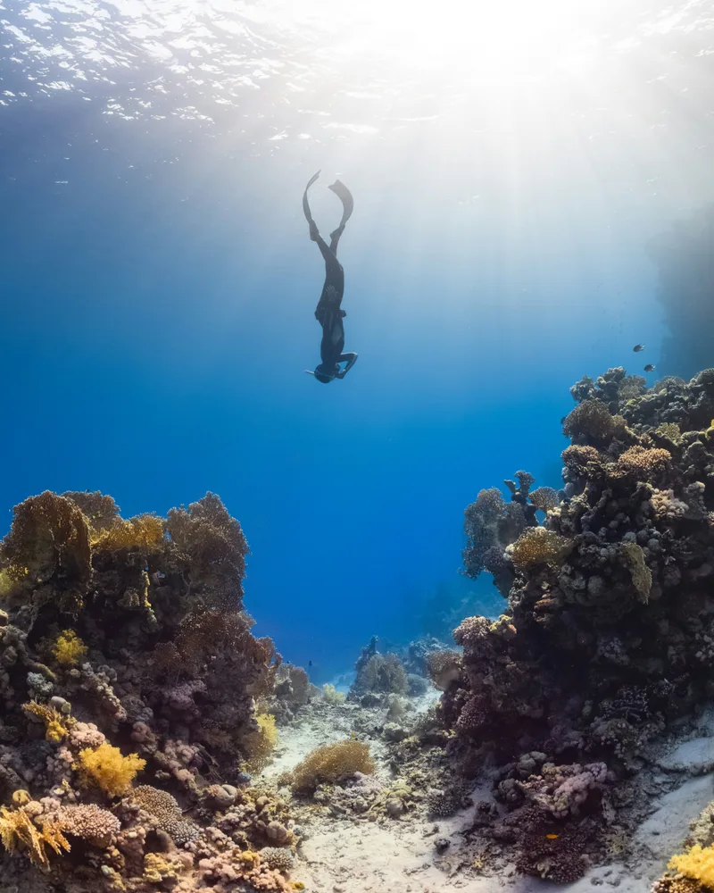 Diving the reefs and wrecks, Bahamas