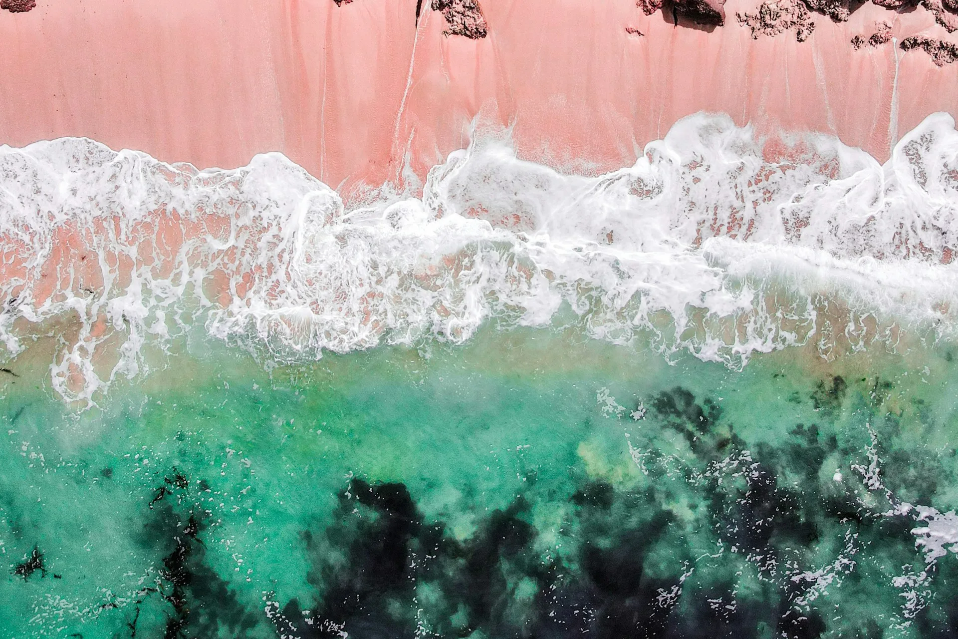 The Pink Sands of Harbour Island