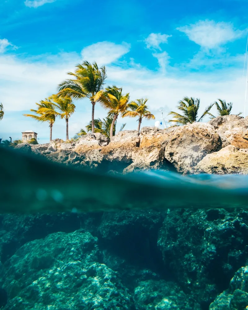 Calm turquoise water, Bahamas