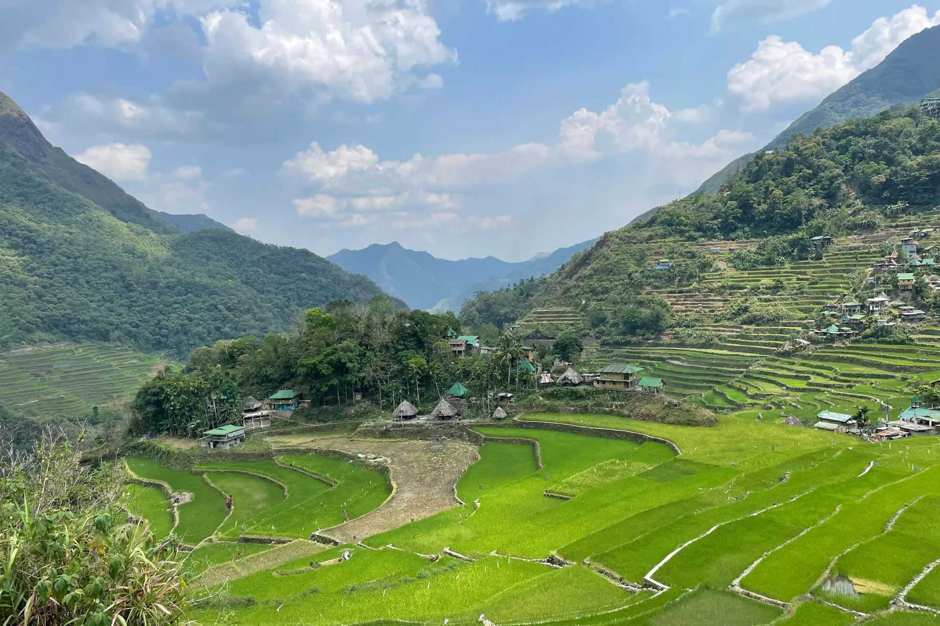 Ubud's Rice Terraces & the Campuhan Ridge