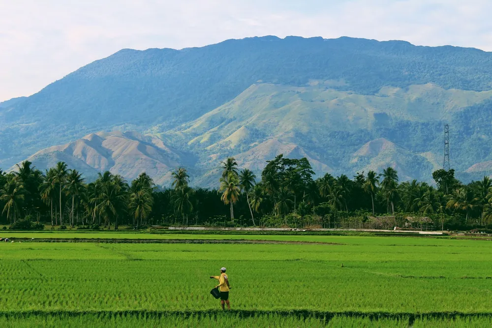 Go early, and go when the fields are green