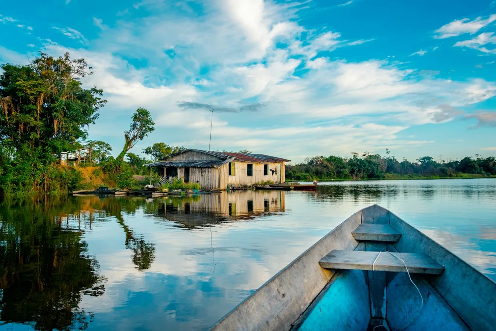 The Amazon