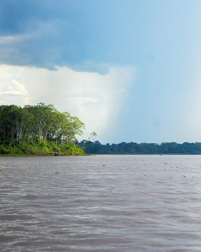 The Amazon