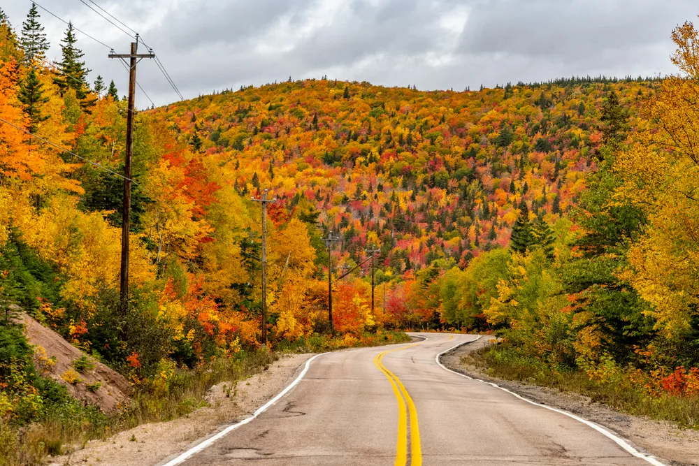 The road trip
