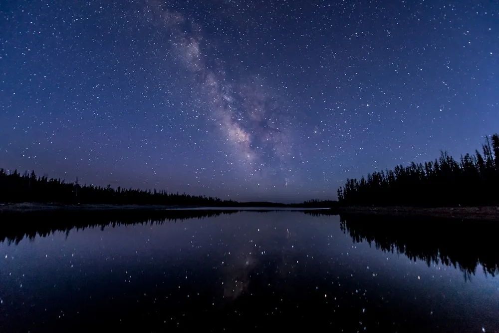 The stargazing