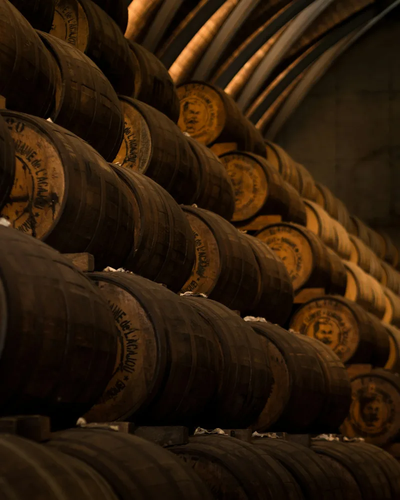 The cellar and barrel room, Chile