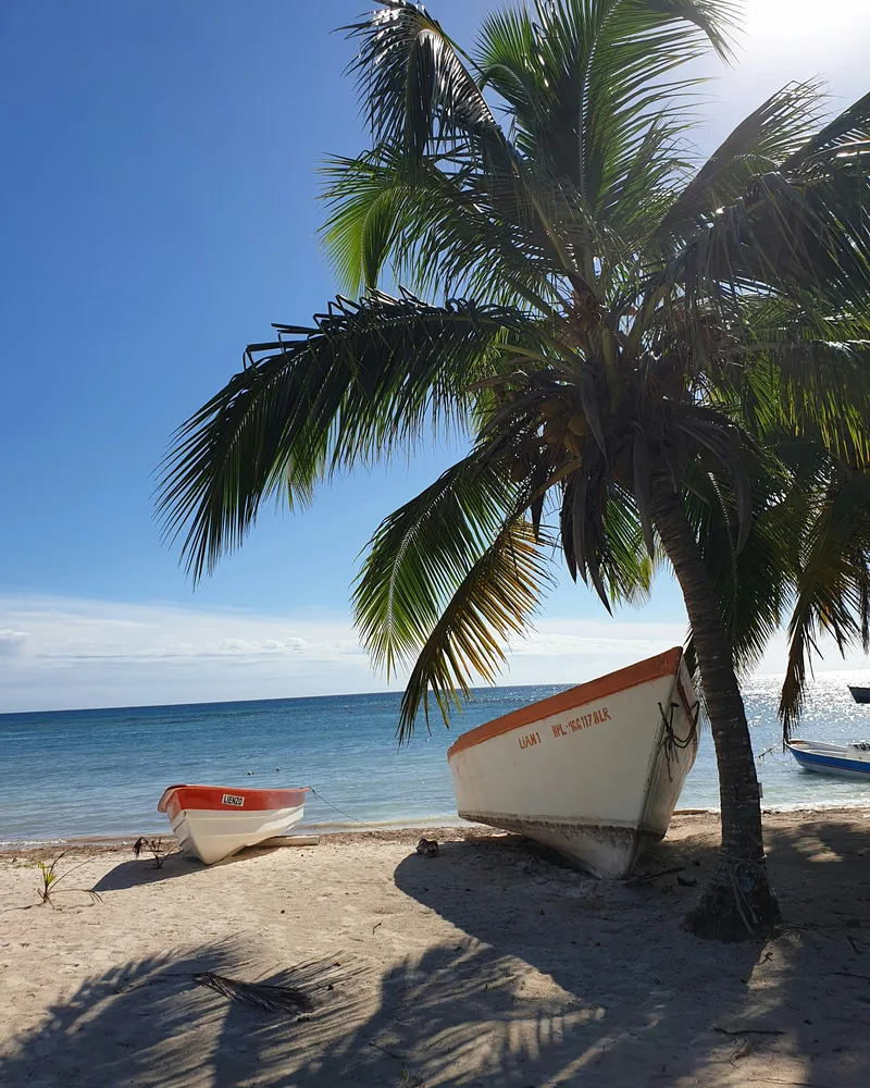 A Catalina or Saona beach, Dominican Republic