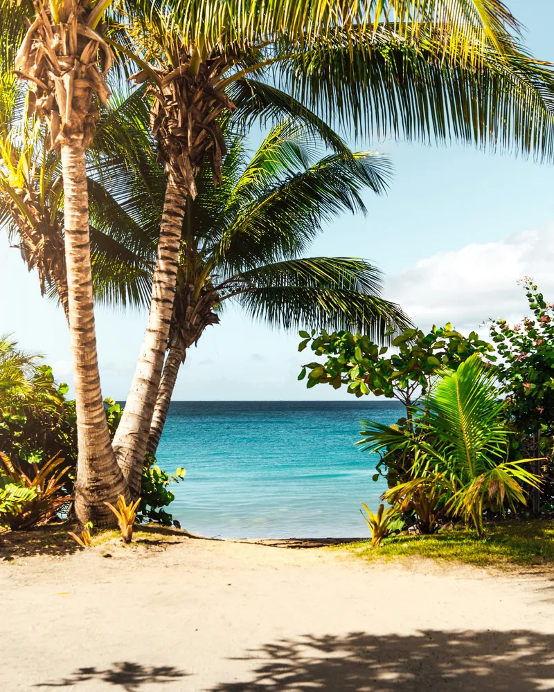 The beaches of Cabarete, Dominican Republic