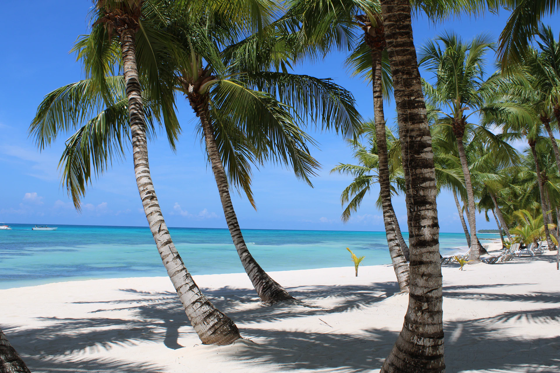 The Beaches of Punta Cana