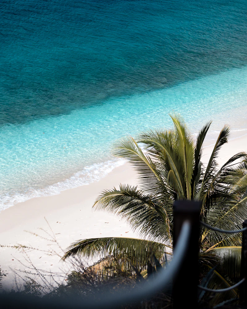 A palm-fringed white-sand beach, Dominican Republic