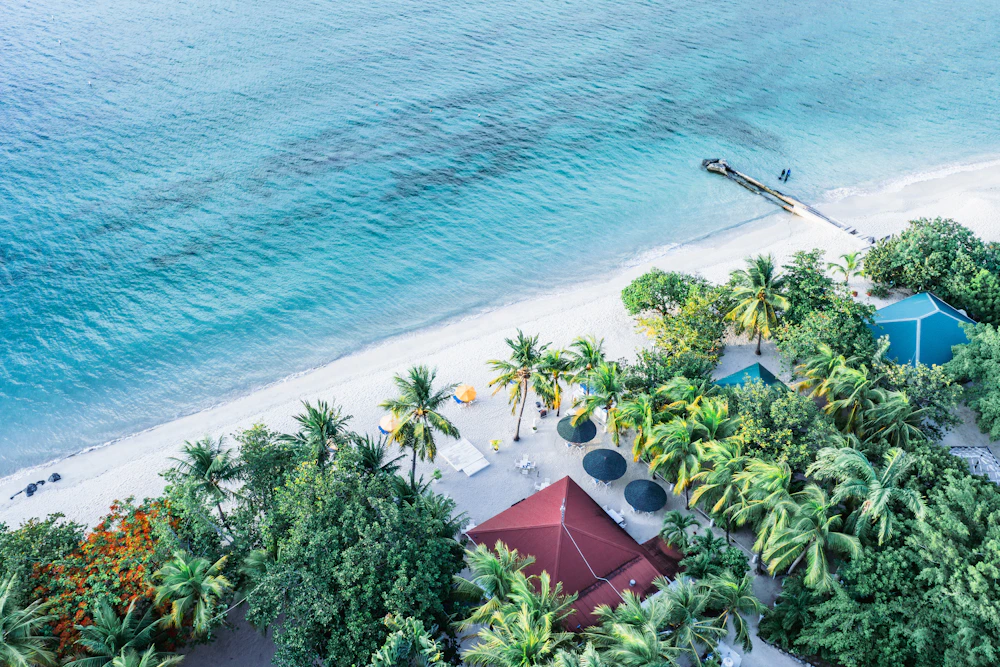 The resorts