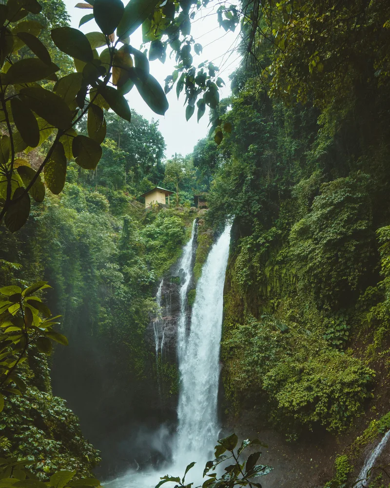 The El Limon waterfall, Dominican Republic