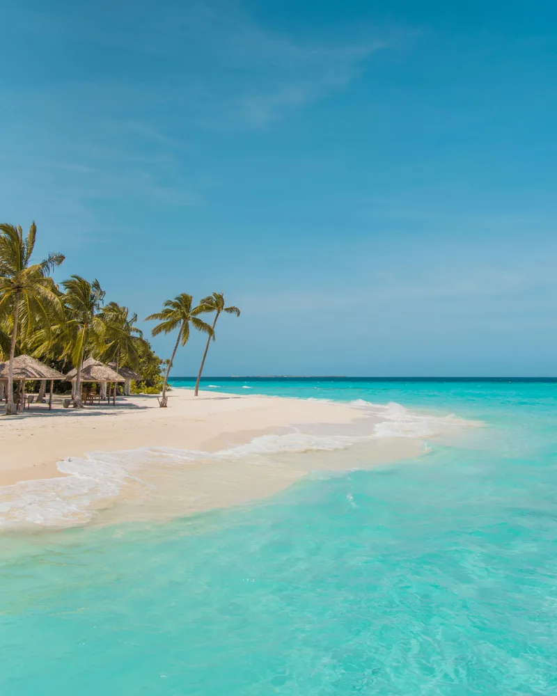 A palm-fringed Samana beach, Dominican Republic