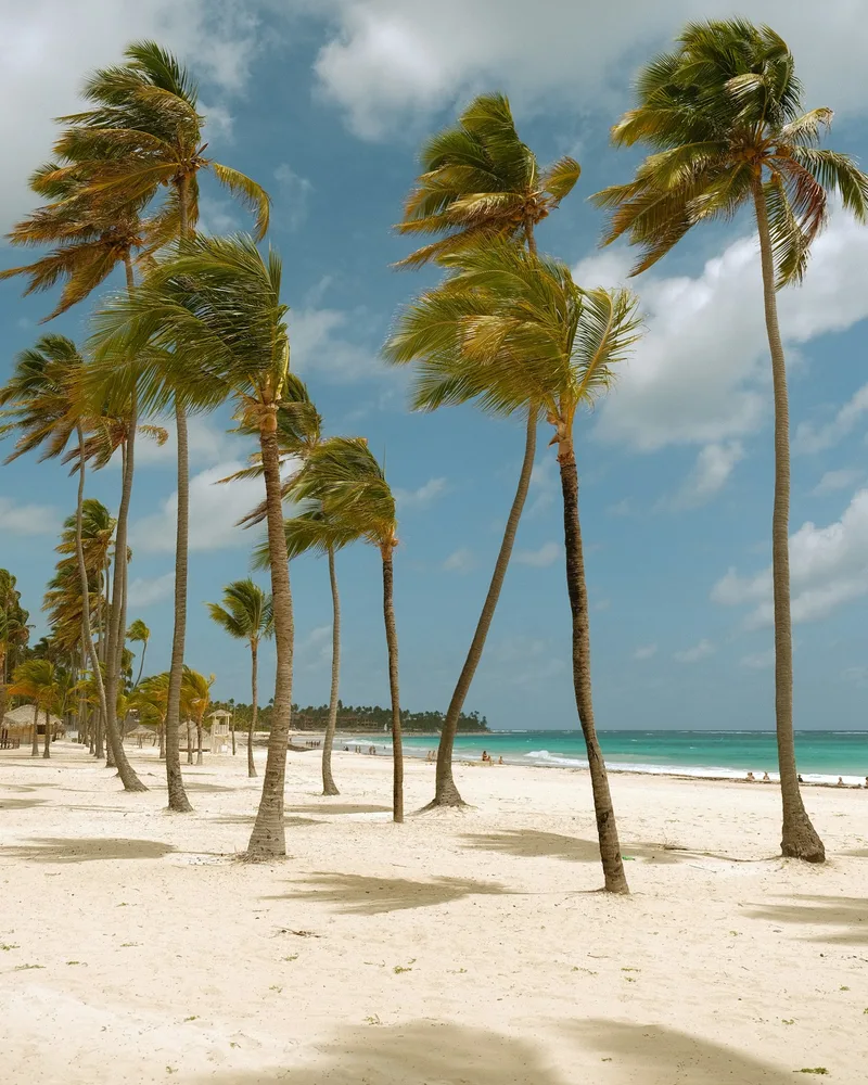 Punta Cana & the East Coast