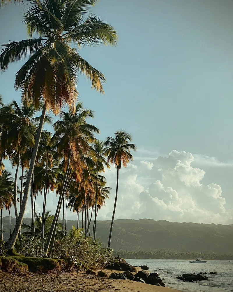 The Samana Peninsula