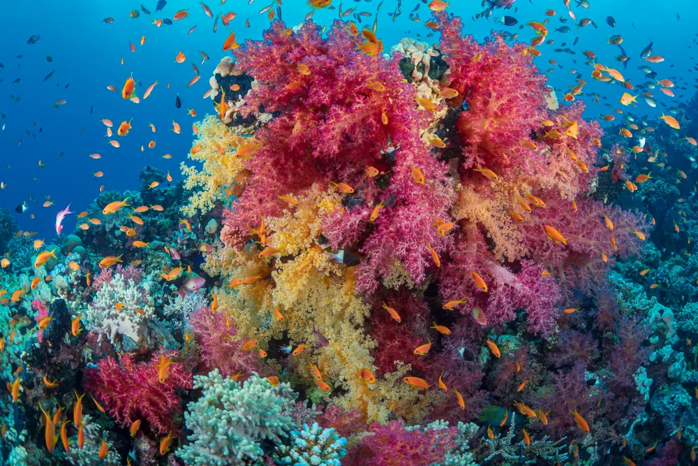 Best season & water temperature